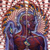 Tool "Lateralus"