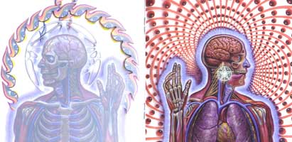 Tool "Lateralus"